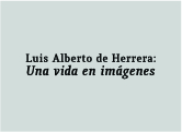 Fotogalería “Herrera: una vida en imágenes”